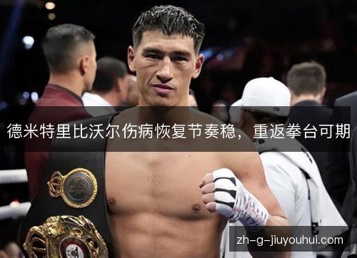 德米特里比沃尔伤病恢复节奏稳，重返拳台可期